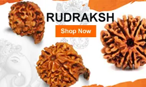 Rudraksh
