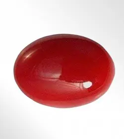 Coral Gemstone