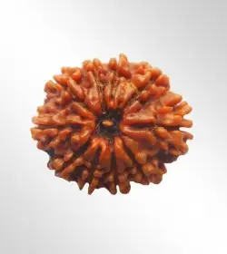 RUDRAKSHA